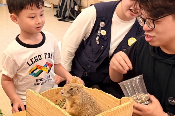 Animal Survival Superpowers | Up-Close Ecology Activities